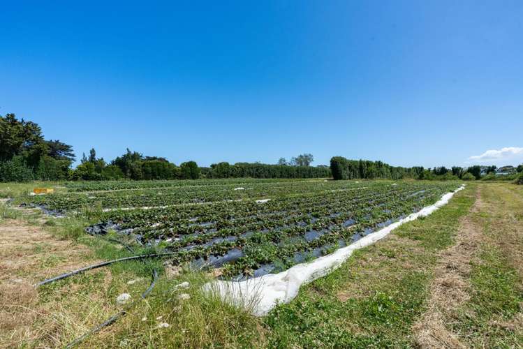 1191-1193 State Highway 1 Te Horo_31