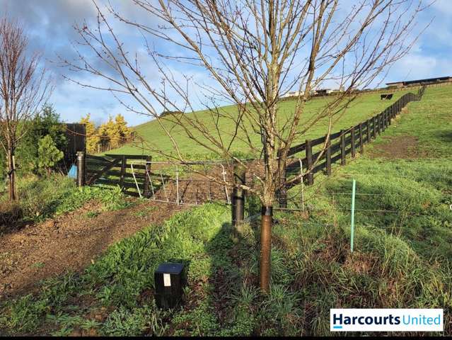 62 Grace James Road Pukekohe_1