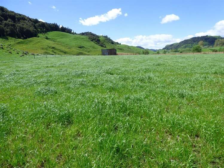 414 Kahuwera Road Te Kuiti_23