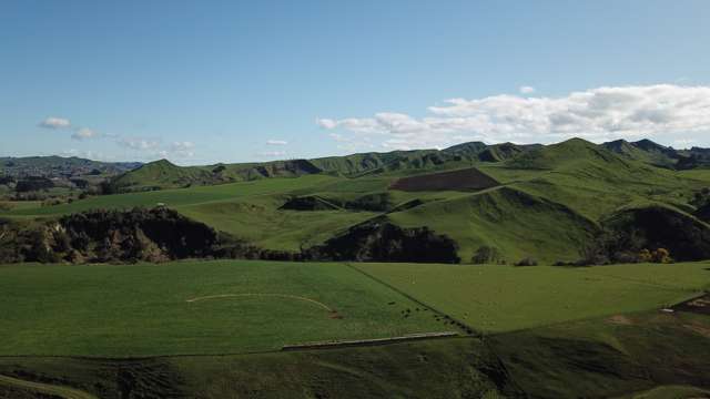 101 Mangapapa Road Taihape and Surrounds_3