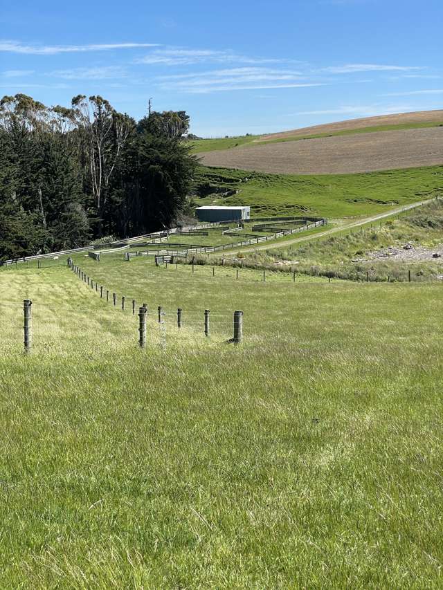 192 Clutha Valley Road Balclutha_2