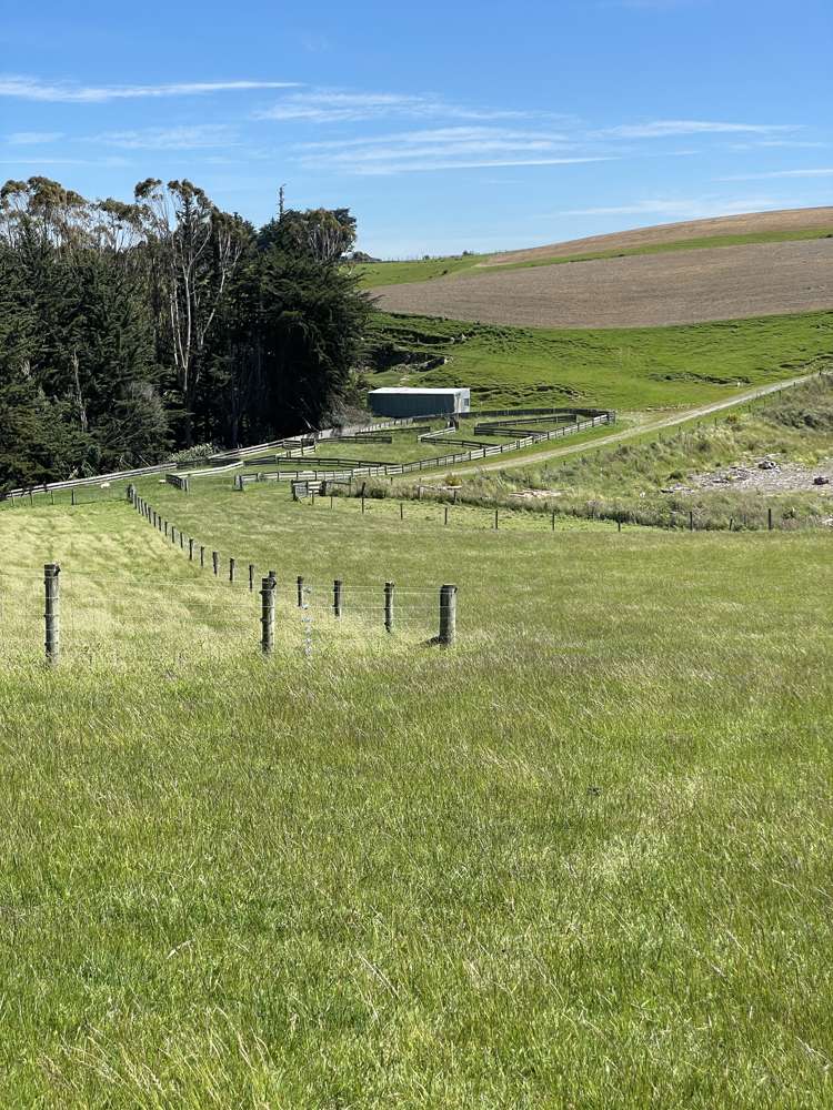 192 Clutha Valley Road Balclutha_2