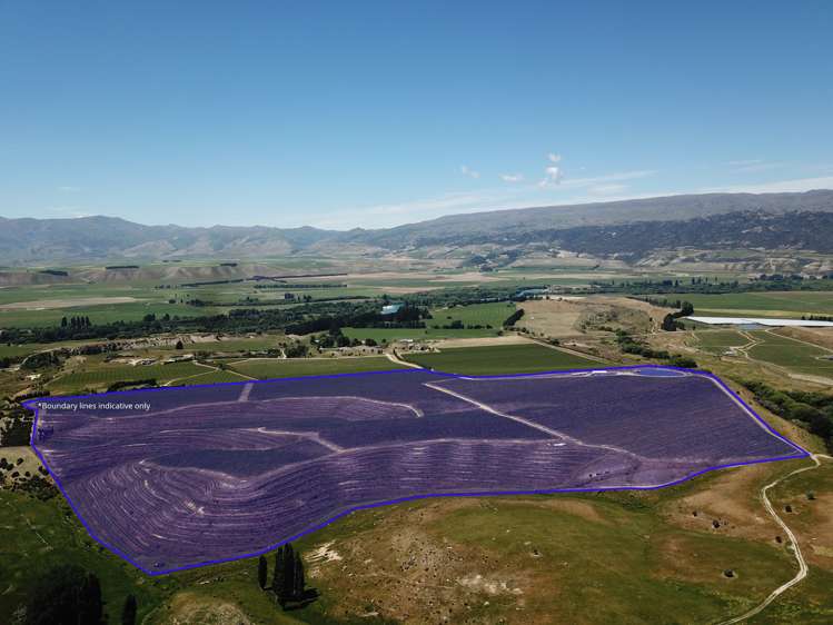 Luggate-Cromwell Road Queensberry_2