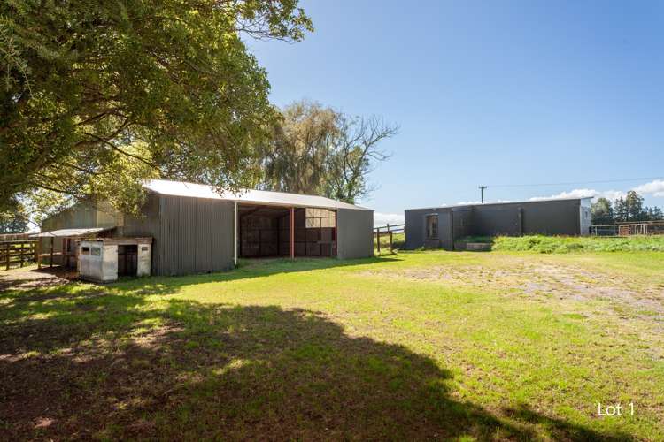 Lot 1 and 3/441 Taihoa South Road Matamata_8