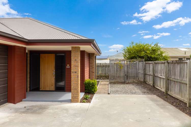 53a Mowat Street Springlands_13