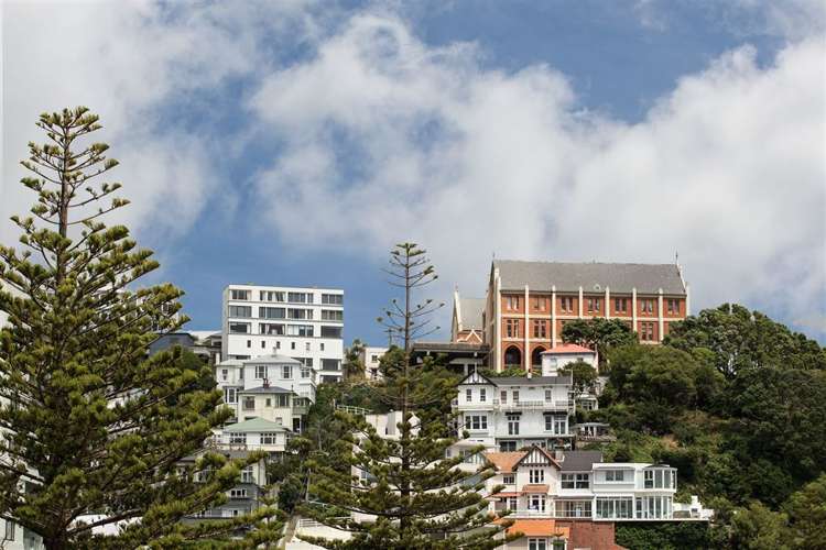 3/2 Oriental Terrace Mount Victoria_17