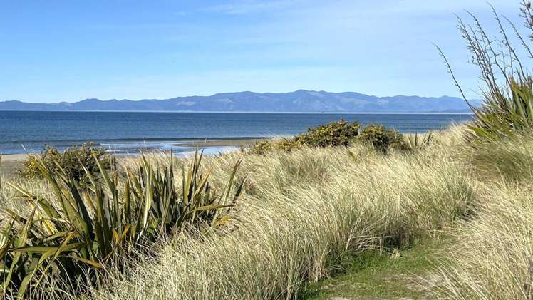 1184 Collingwood-Puponga Main Road Pakawau_20