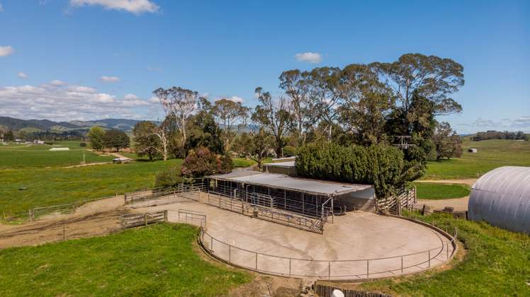 120 Pamotumotu Road Maihiihi_10