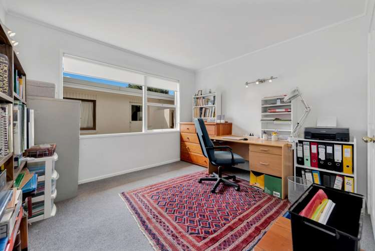 15 Janet Street Sunnyhills_10