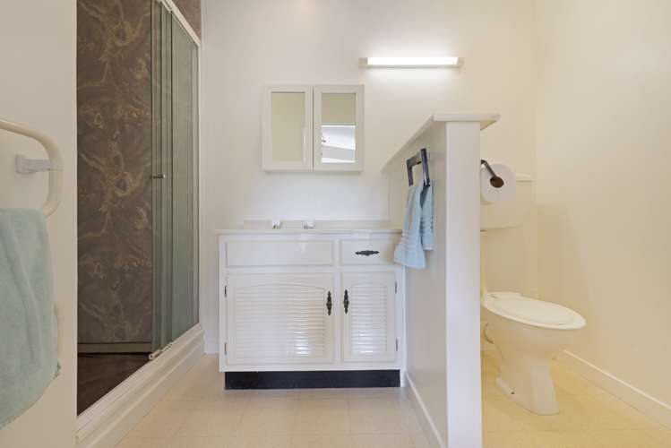 29b Warwick Street Wilton_11