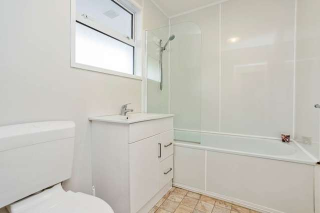 29b Mark Road Mount Albert_4