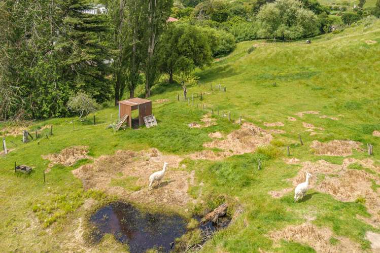 78 Durie Vale Road Durie Hill_18