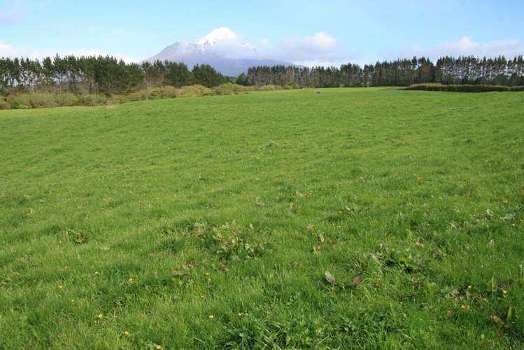 2105 Hastings Road Mahoe_15