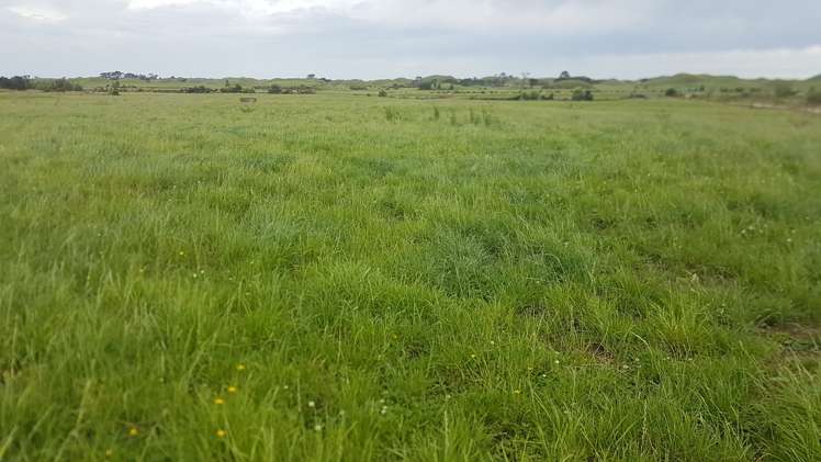 531 Ngariki Road Rahotu_8