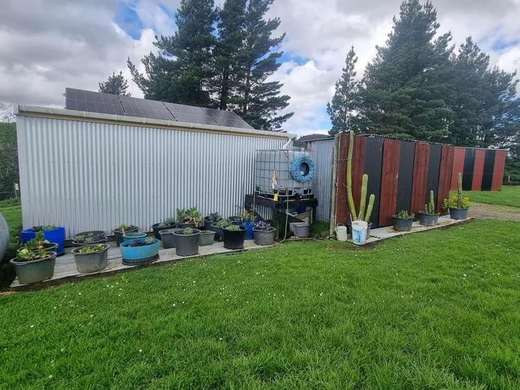 3345A Weber Road Dannevirke_19