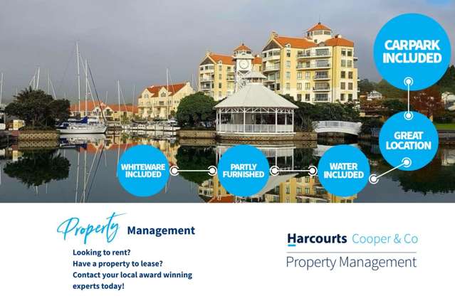 Modern Studio Apartment for Rent in Gulf Harbour