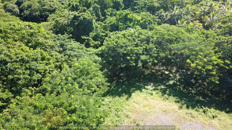 Address withheld Savusavu_9