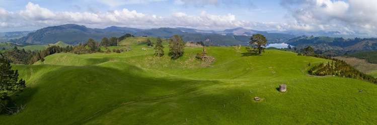 494B Dods Road Waikite Valley_9