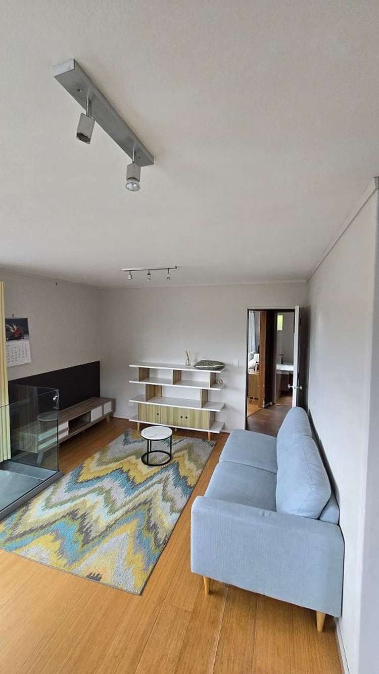 77A Miramar North Road Miramar_5