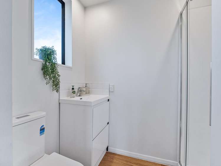 39 Torlesse Street Avonside_10