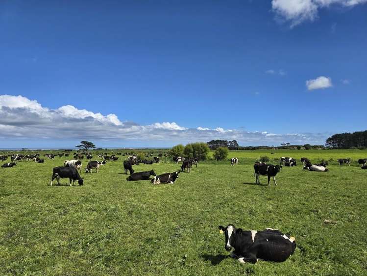 189 Namu Road Rd 31_5