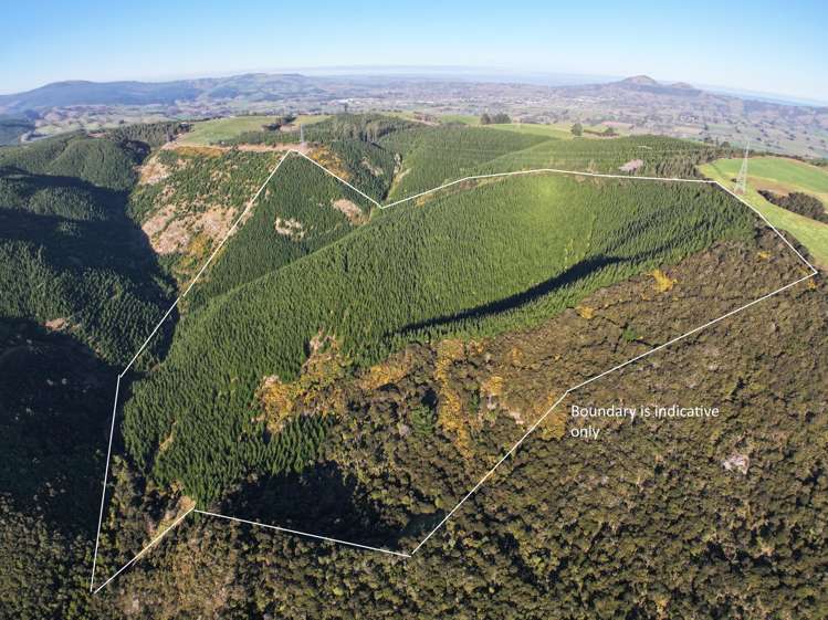 192 Taieri View Road_0