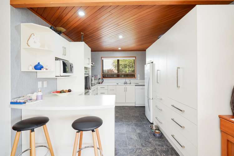 181 Ward Street Hargest_3