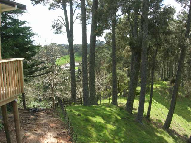 98 Lonely Track Rd Albany_3