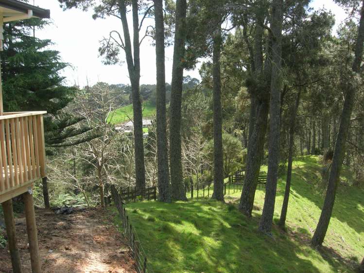 98 Lonely Track Rd Albany_3