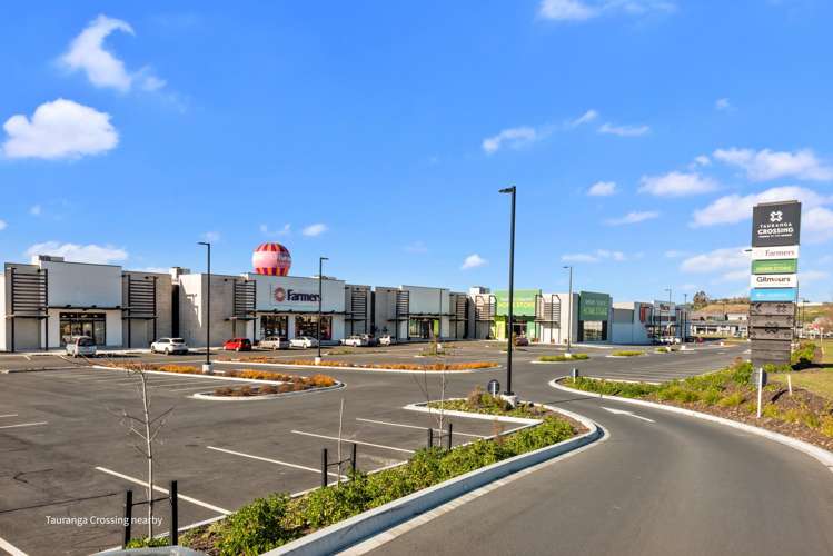 142 Puhirake Crescent Pyes Pa_22