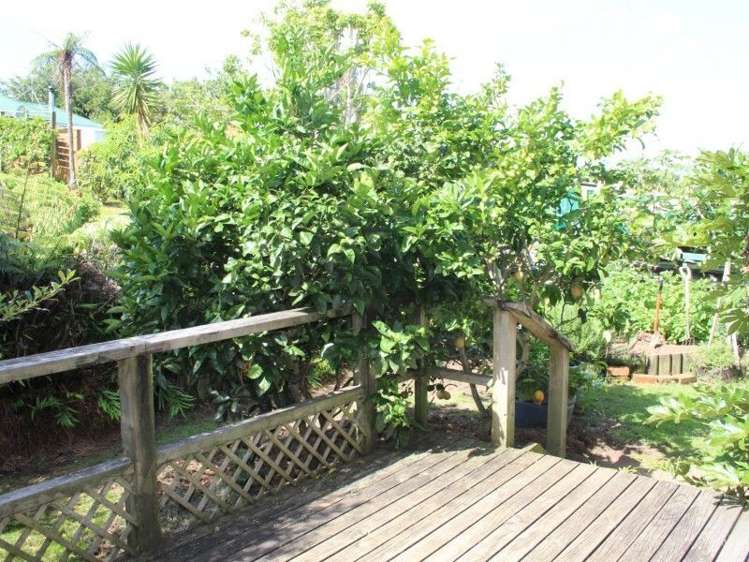 3a Featon Road Waihi_16