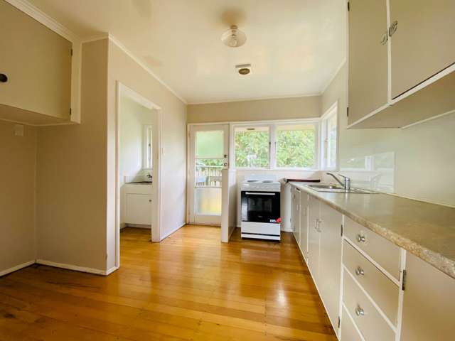 12A Frank Hewitt Street Pukekohe_1