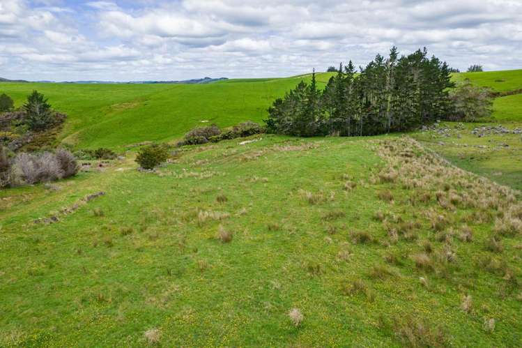 183A Wiroa Road Kerikeri_33