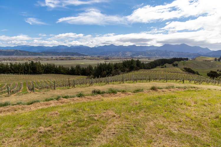 Delta Lake Heights Renwick_2