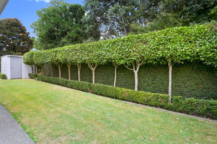 27 Shackleton Road Mount Eden_21