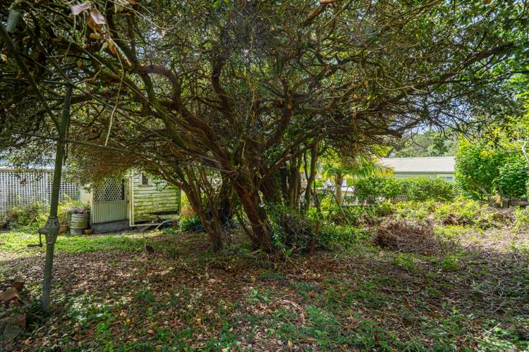 19 Saint Leonards Road Devonport_6