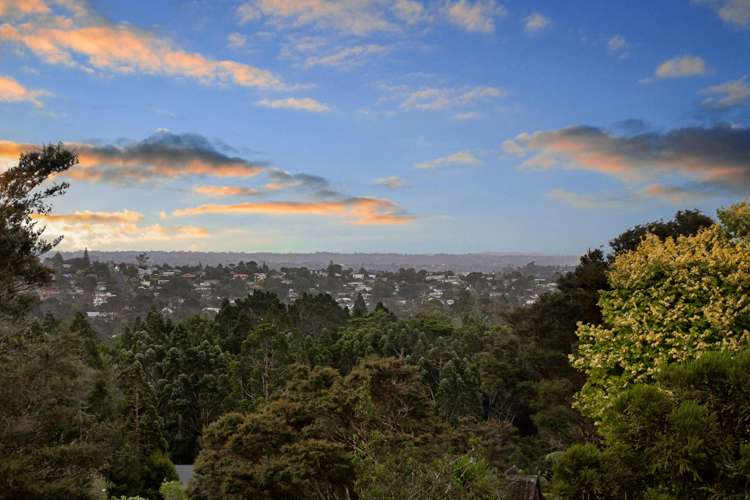 52 Daffodil Street Titirangi_5