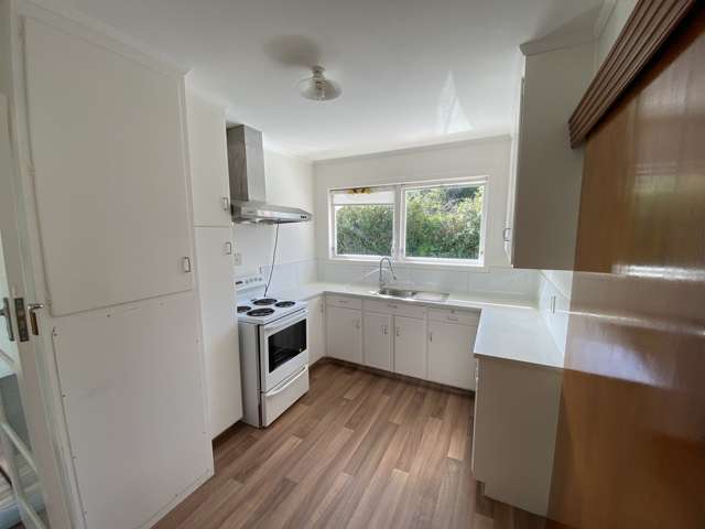 3/15a Frost Road Mount Roskill_4