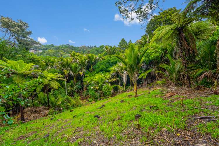 7 Onetangi Road Onetangi_7