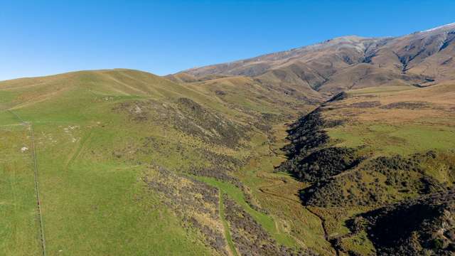 Plantation Road Fairlie_4
