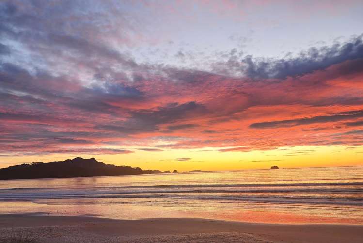 122 Buffalo Beach Road Whitianga_28