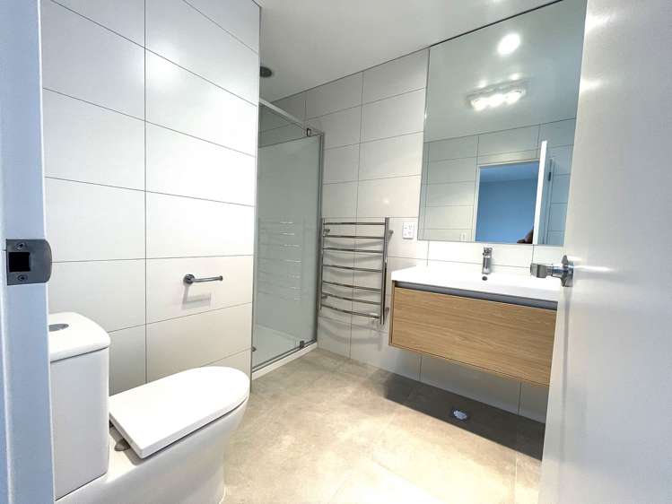 6 Viridian Avenue Rosehill_14