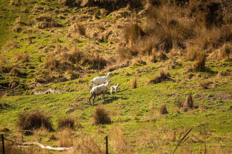 Cecil Peak Station Queenstown_27