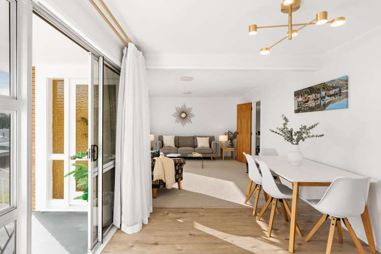 7 Hairini Street Hairini_4