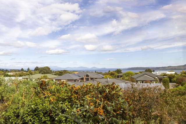 85 Arrowsmith Avenue Waipahihi_1