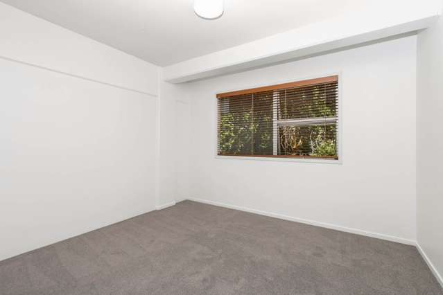 2/145 Howe Street Freemans Bay_3