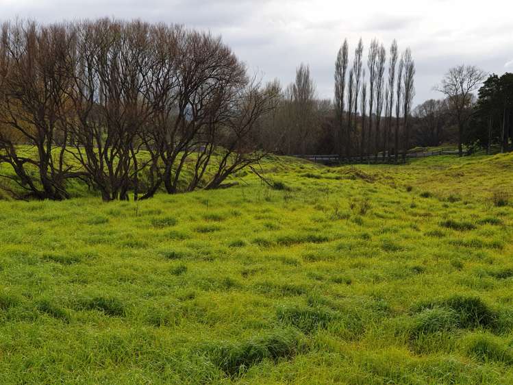 42 Jumna Road Maungaturoto_11