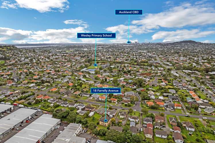18 Farrelly Avenue Mount Roskill_35