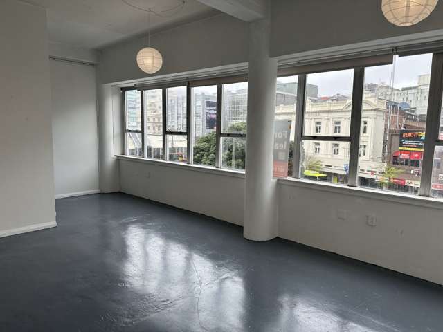 Level 2/25 Dixon Street Te Aro_3