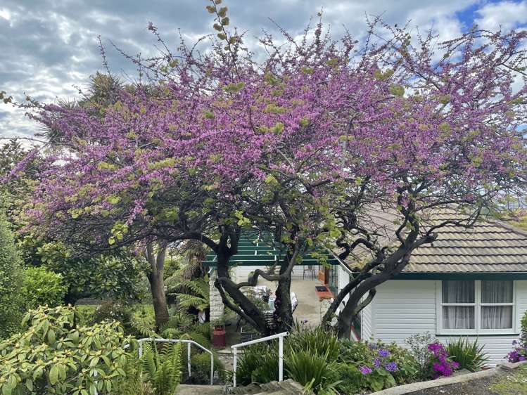 5 Tay Street Oamaru_20